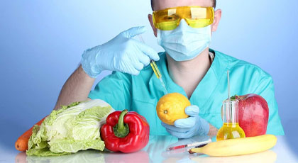 ГМО продукты и их вред для человека